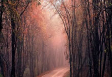 开云:菲尔-琼斯:B费树立了好榜样,比赛水平也提升到了另一个层次.