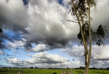 开云：[德甲]第22轮：波鸿3-2拜仁慕尼黑 集锦.